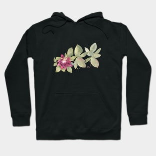 Passiflora watercolor illustration Hoodie